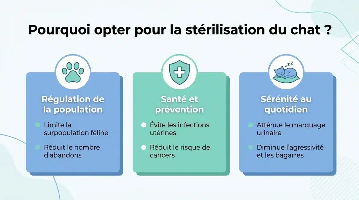 Infographie détaillant les 3 avantages majeurs de la stérilisation du chat: population, santé et comportement.